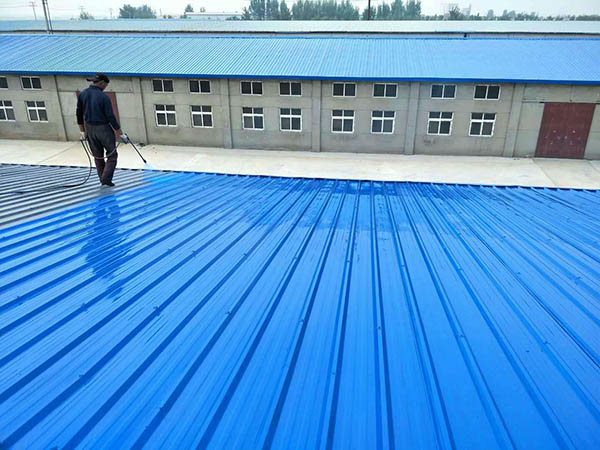 珠晖 彩钢瓦喷漆翻新工业厂房、仓库